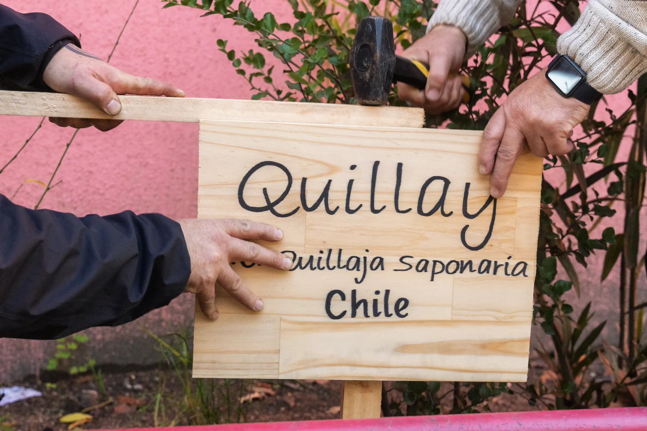 Proyectos medioambientales - registro 12