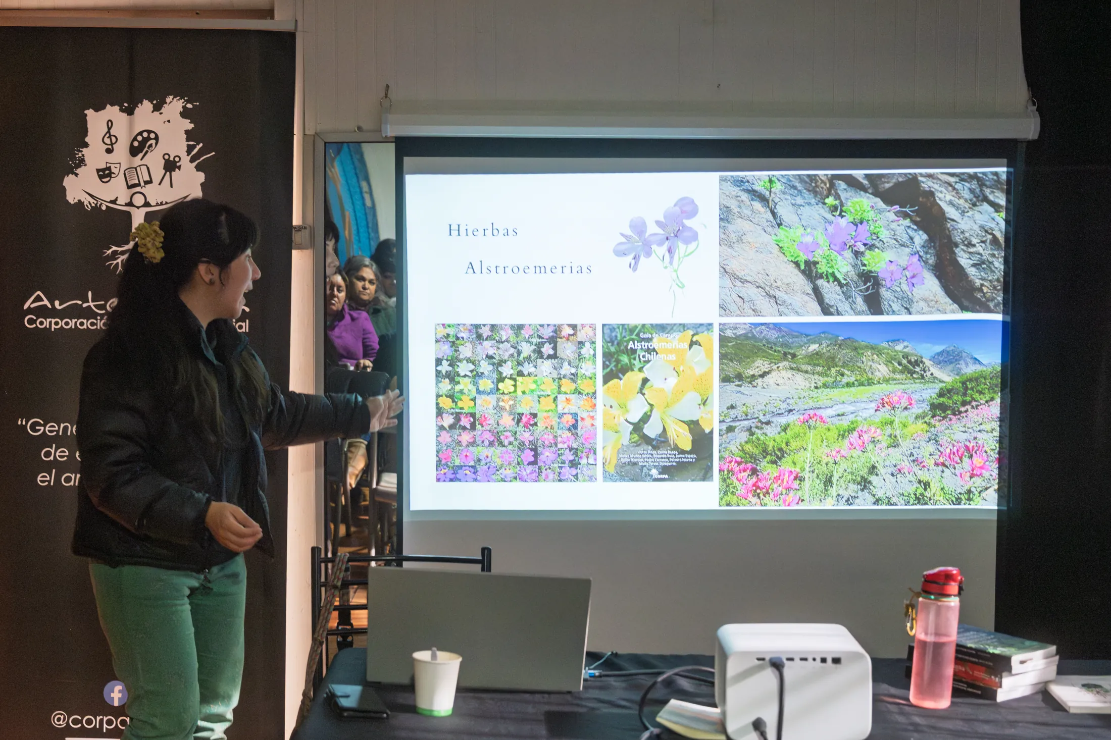 Proyectos medioambientales - registro 19