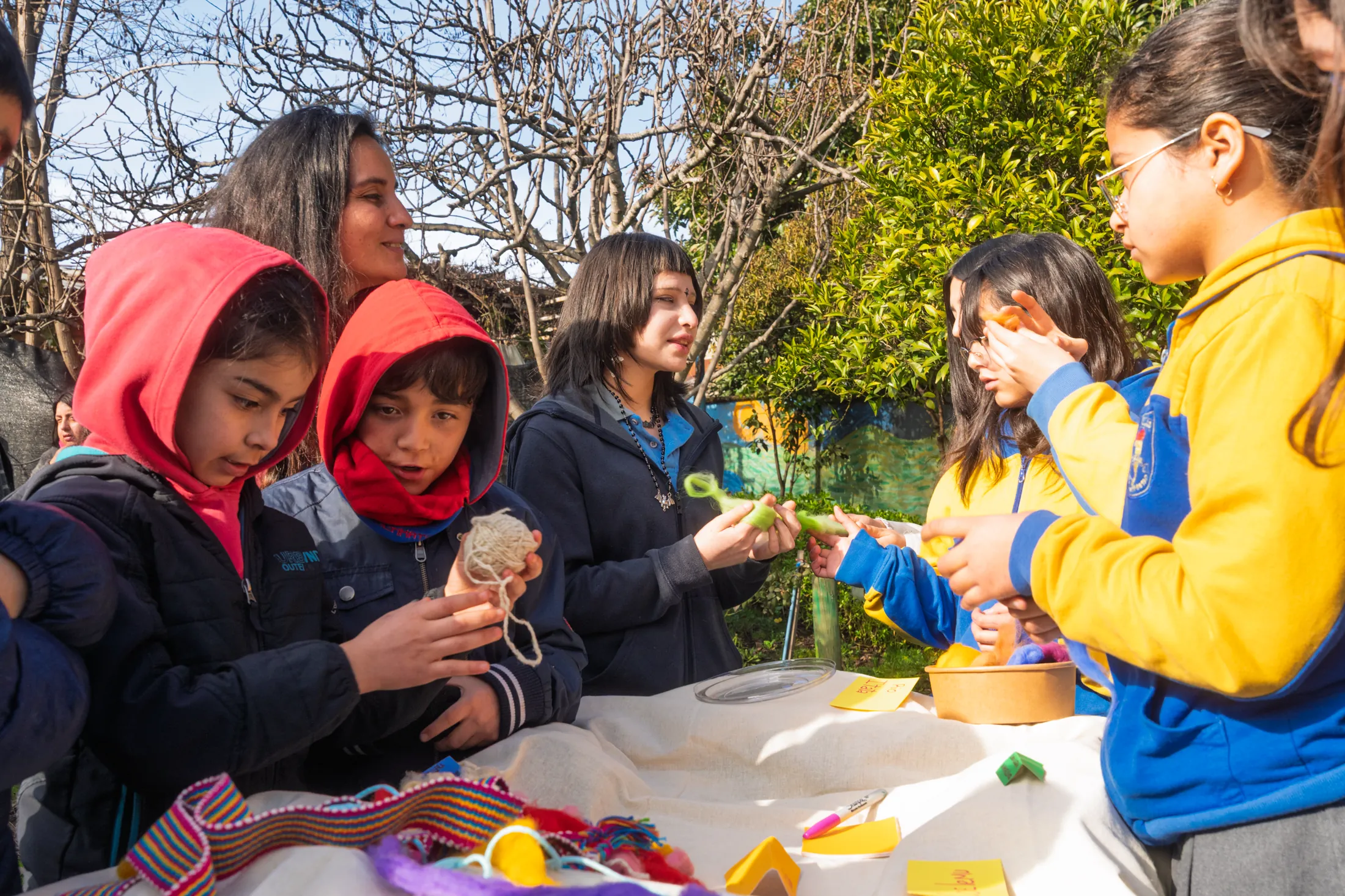 Proyectos medioambientales - registro 3