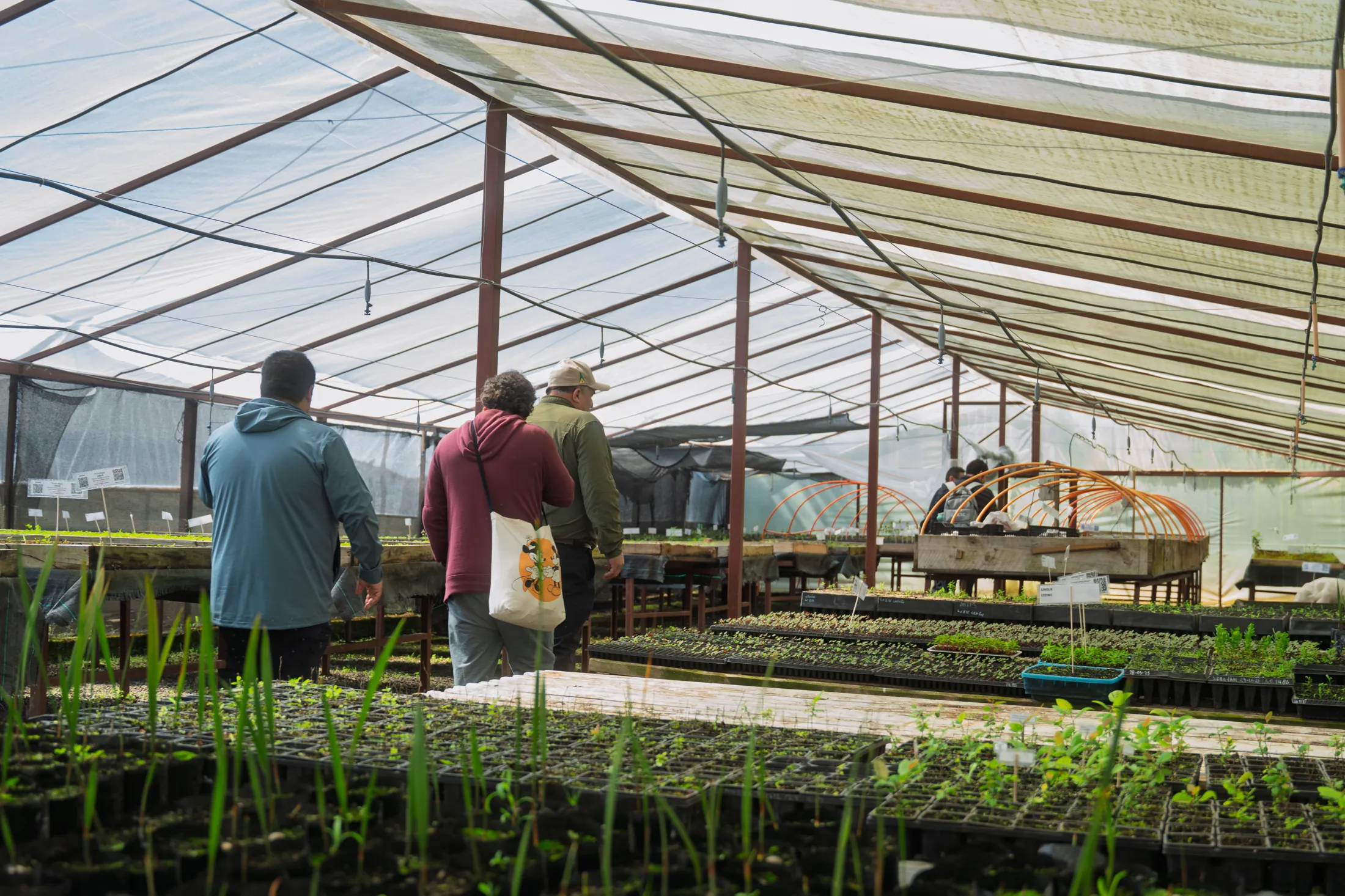 Proyectos medioambientales - registro 6
