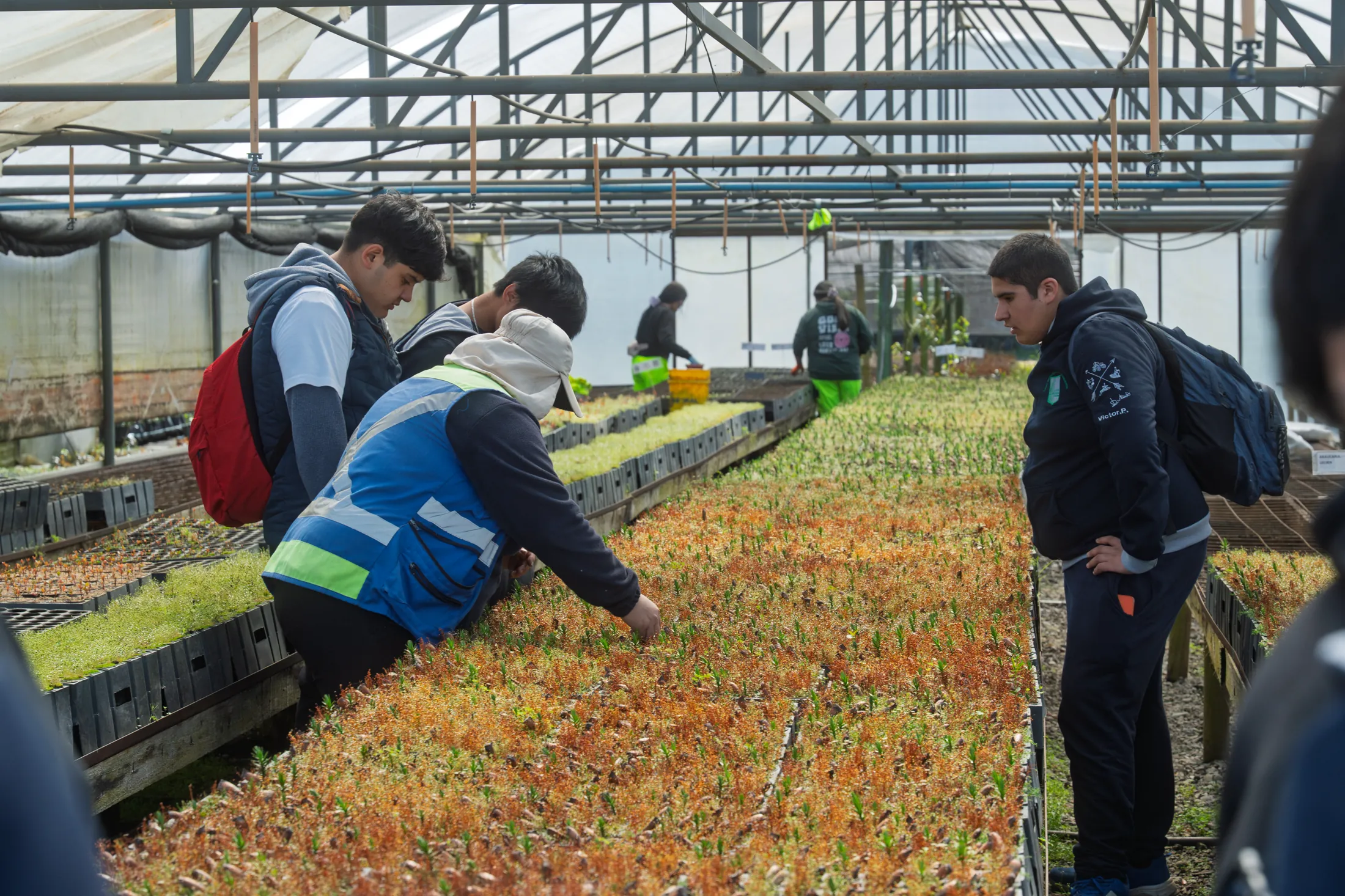Proyectos medioambientales - registro 18