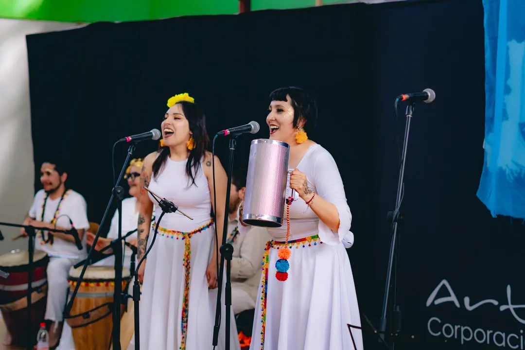 Tumbe Canela en Liceo Domingo Ortíz de Rozas - registro 17