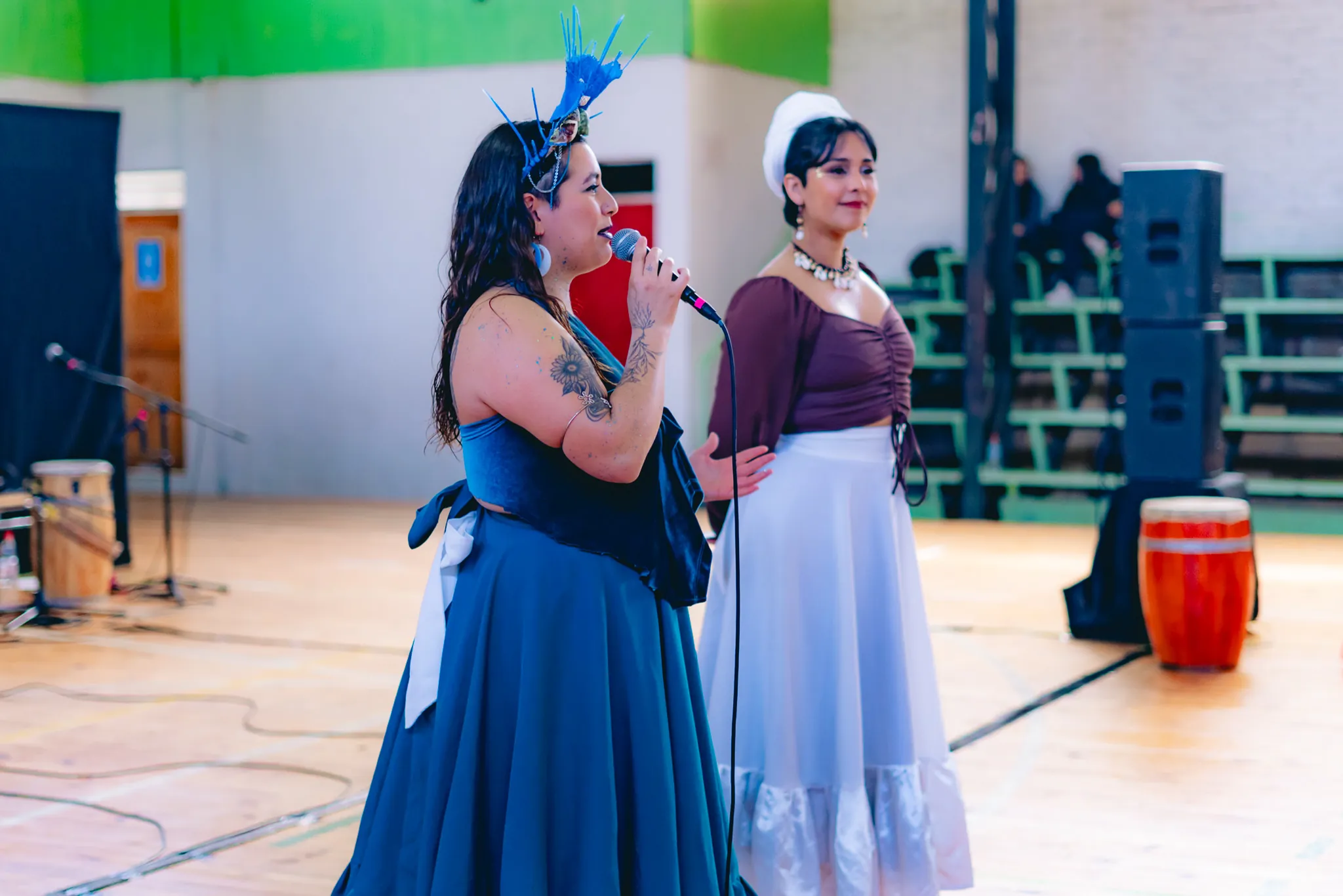 Tumbe Canela en Liceo Domingo Ortíz de Rozas - registro 16