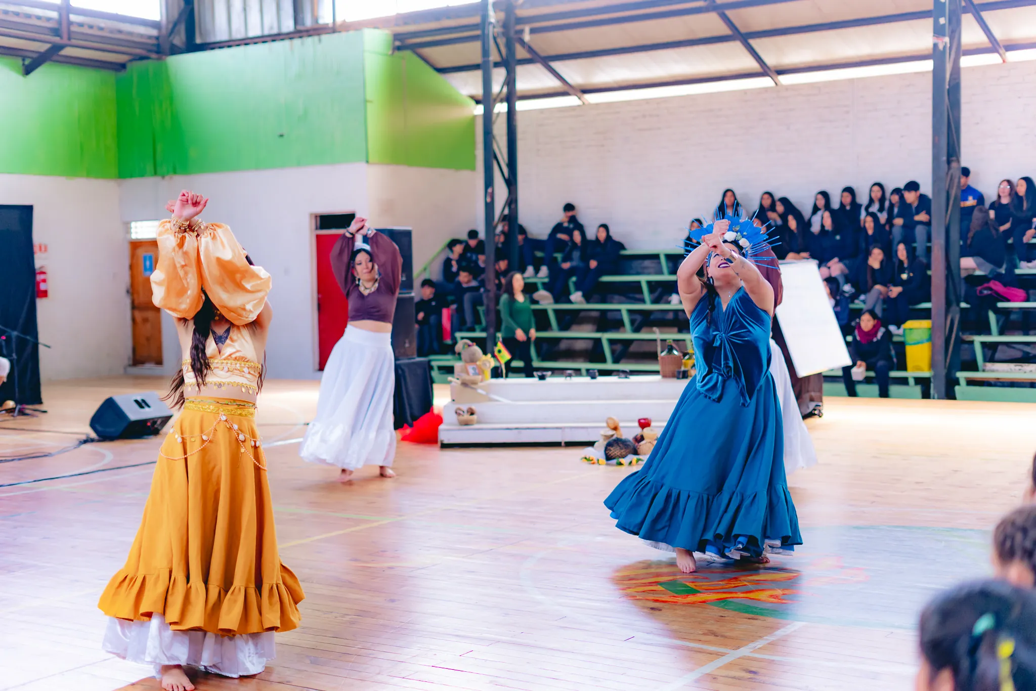 Tumbe Canela en Liceo Domingo Ortíz de Rozas - registro 1