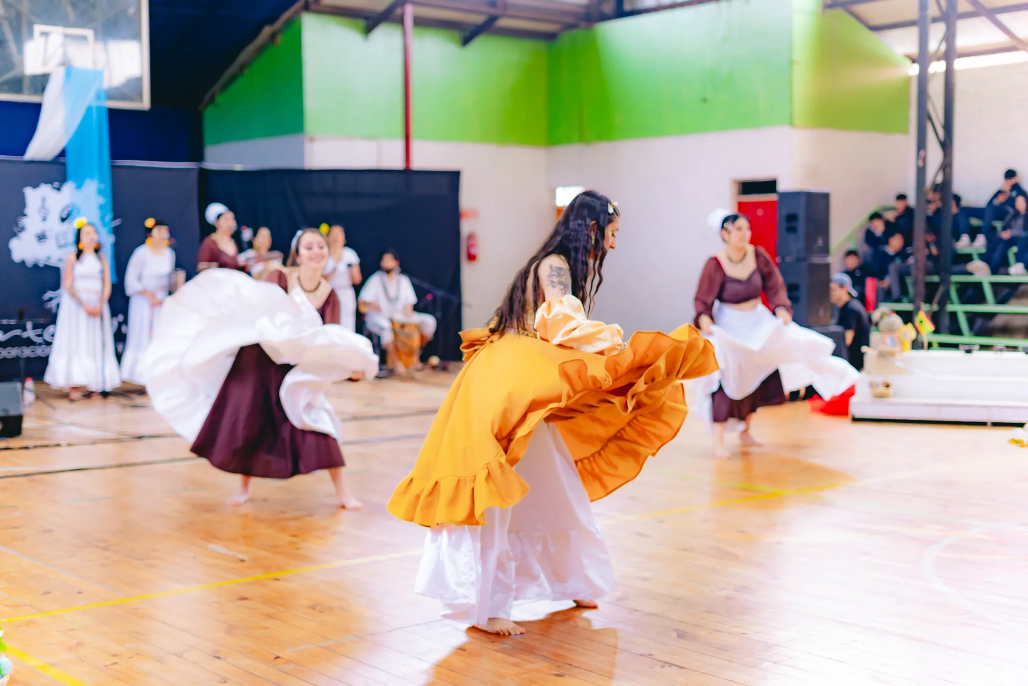 Tumbe Canela en Liceo Domingo Ortíz de Rozas - registro 5