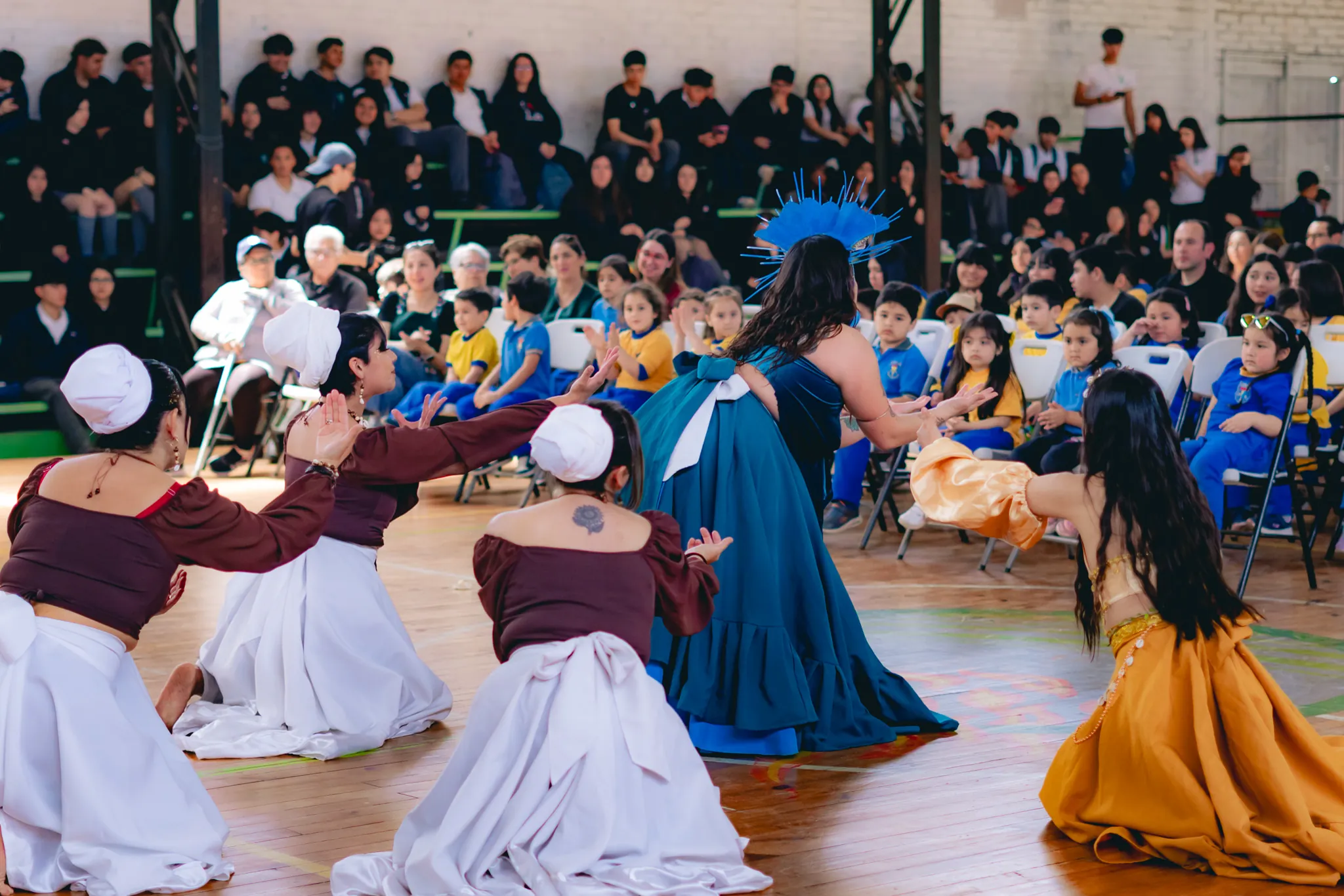 Tumbe Canela en Liceo Domingo Ortíz de Rozas - registro 48