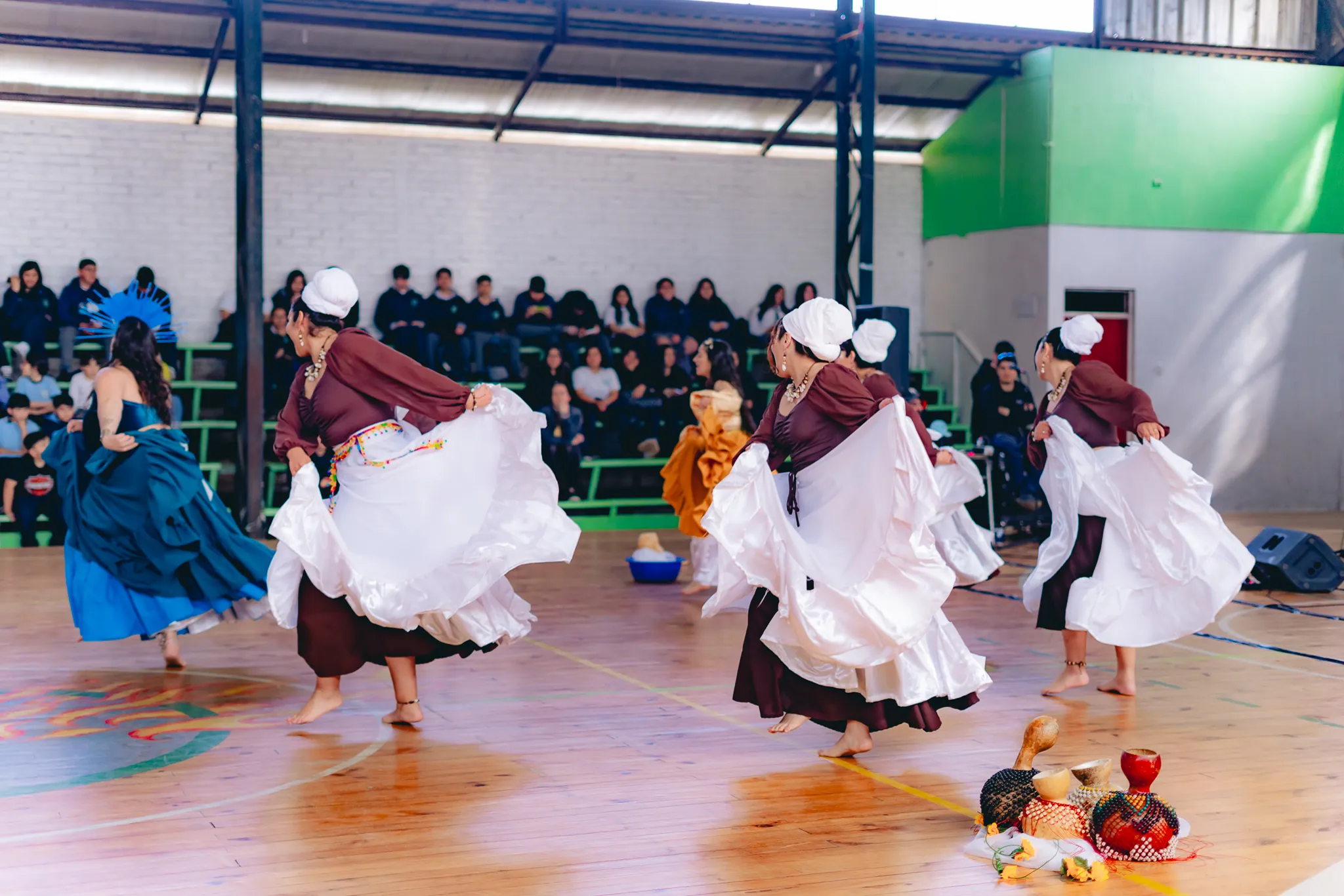 Tumbe Canela en Liceo Domingo Ortíz de Rozas - registro 8