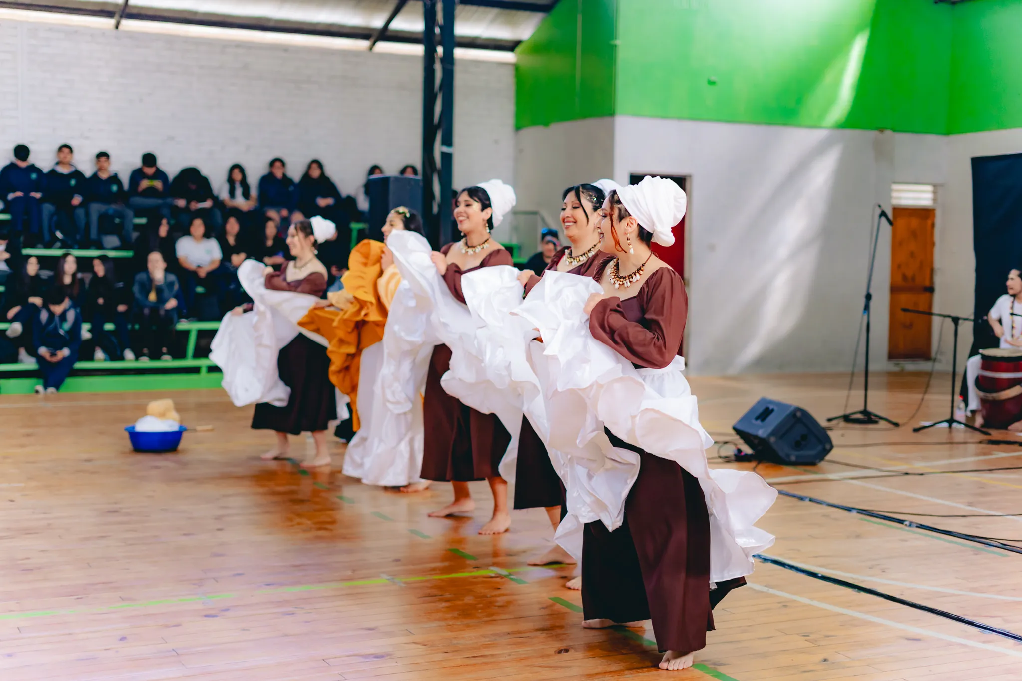 Tumbe Canela en Liceo Domingo Ortíz de Rozas - registro 49
