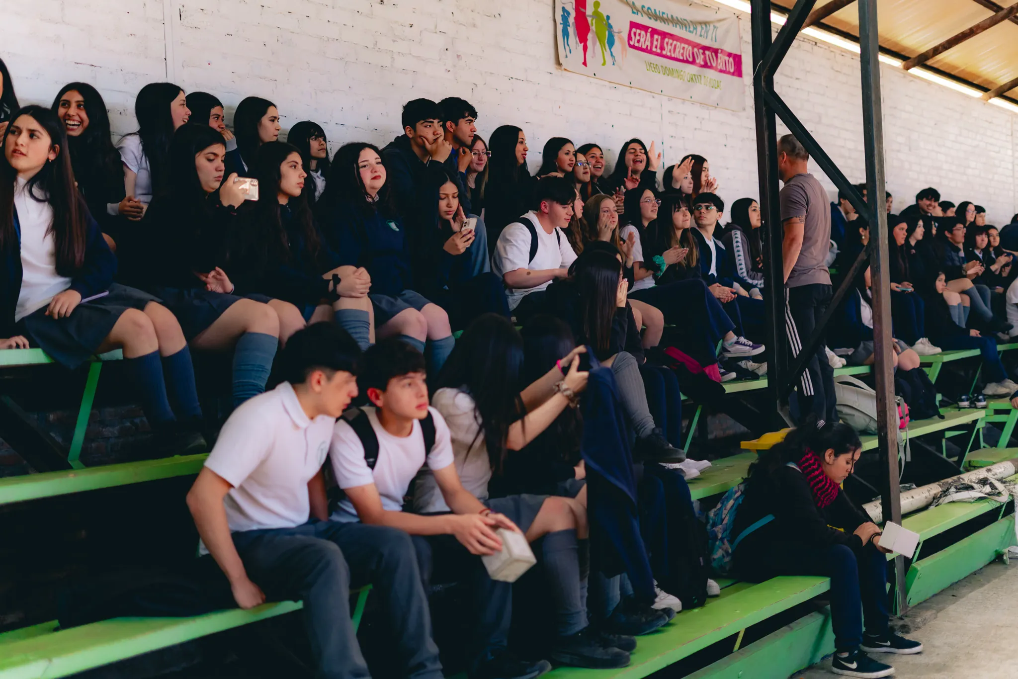 Tumbe Canela en Liceo Domingo Ortíz de Rozas - registro 35