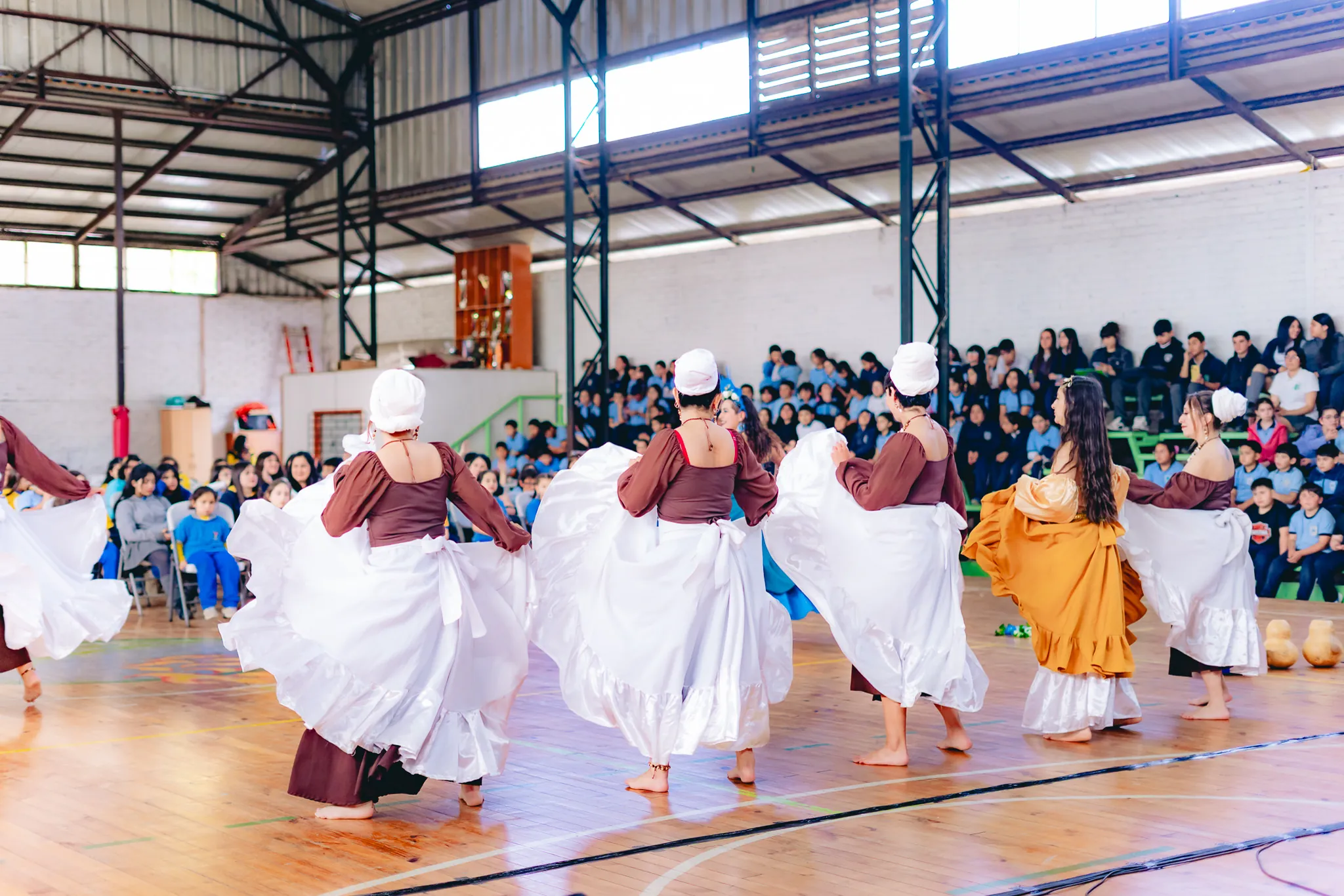 Tumbe Canela en Liceo Domingo Ortíz de Rozas - registro 40