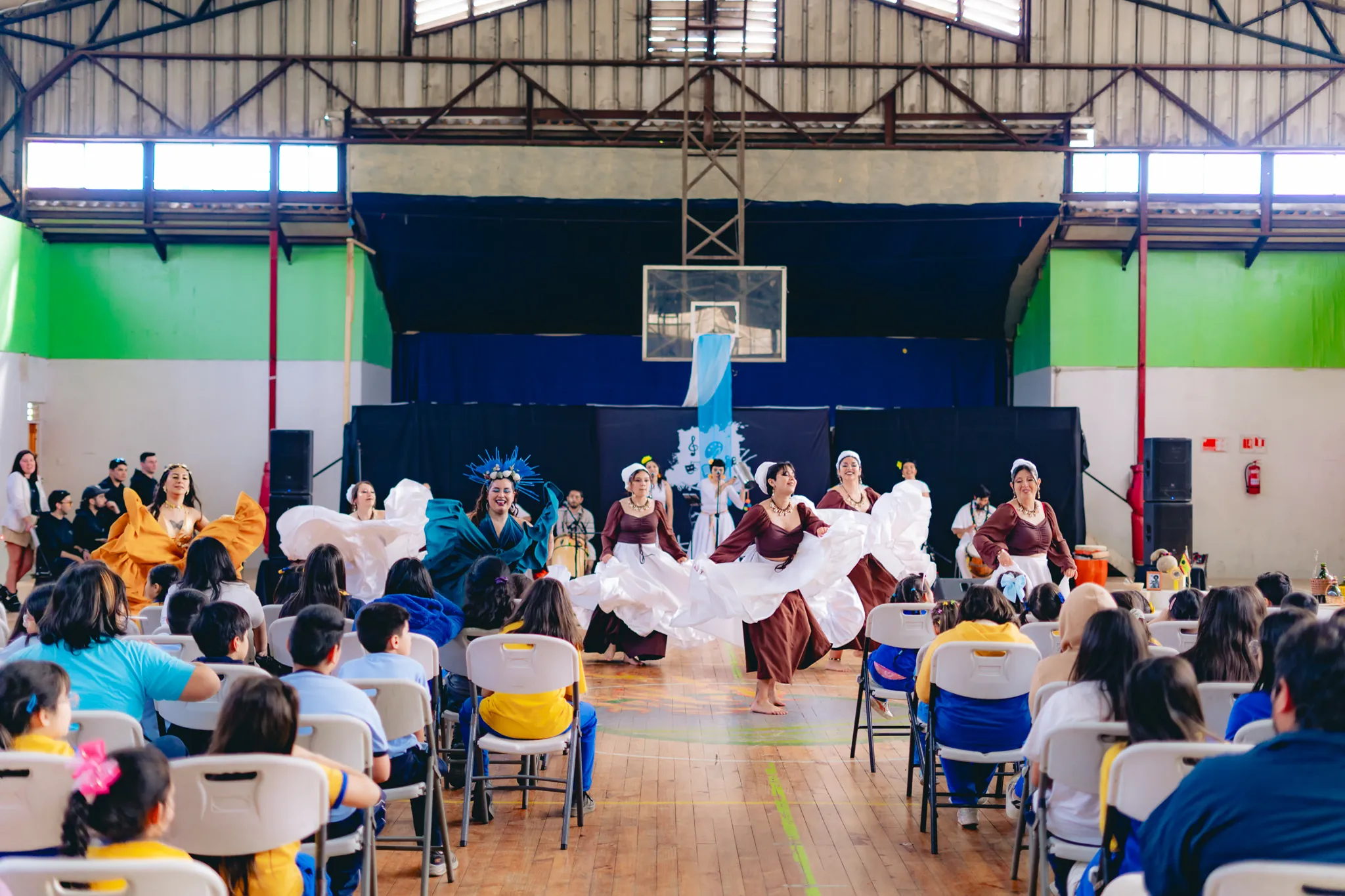 Tumbe Canela en Liceo Domingo Ortíz de Rozas - registro 43