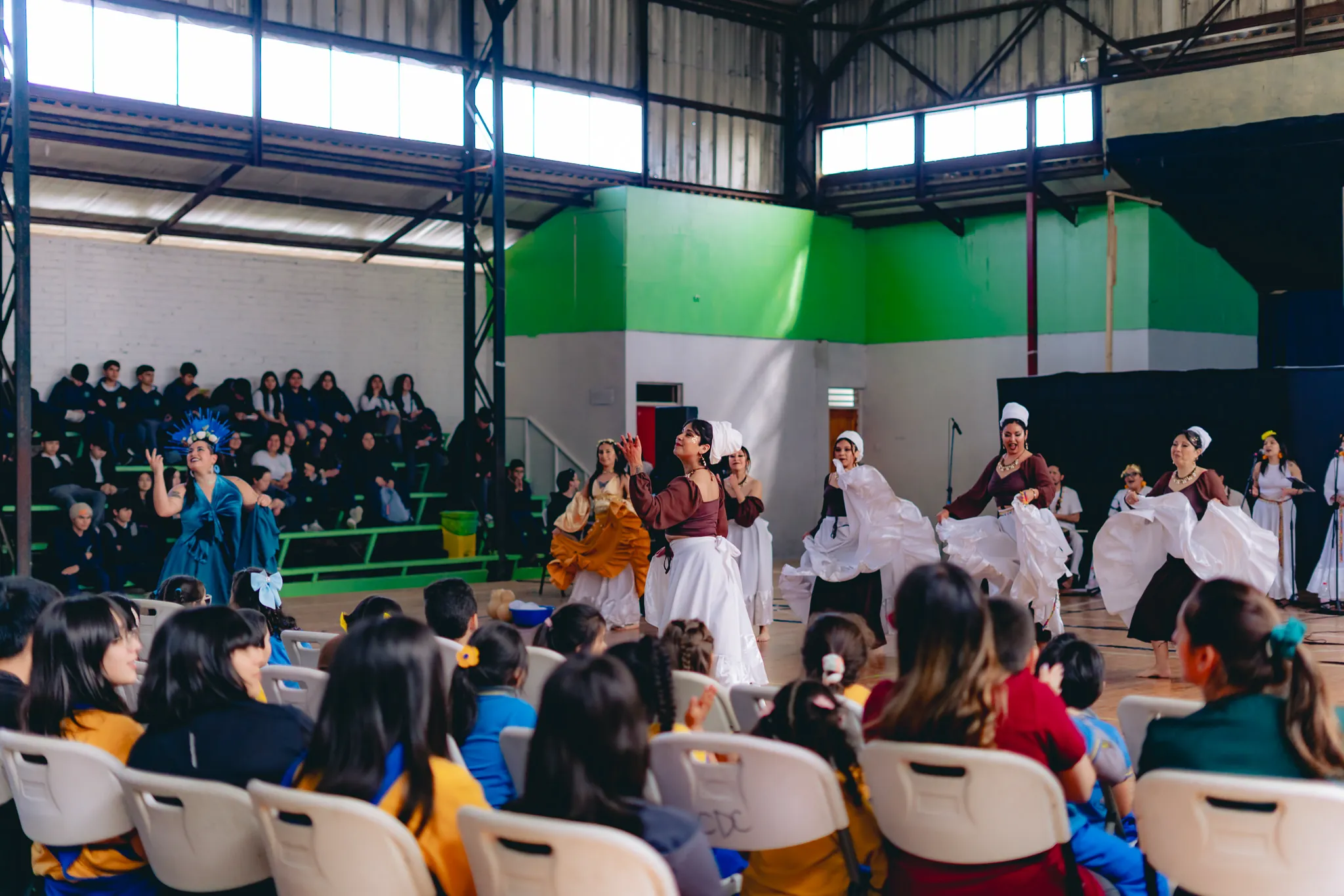 Tumbe Canela en Liceo Domingo Ortíz de Rozas - registro 11