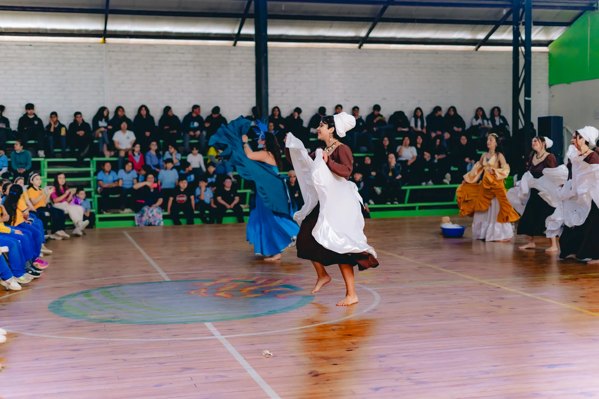 Tumbe Canela en Liceo Domingo Ortíz de Rozas - registro 24