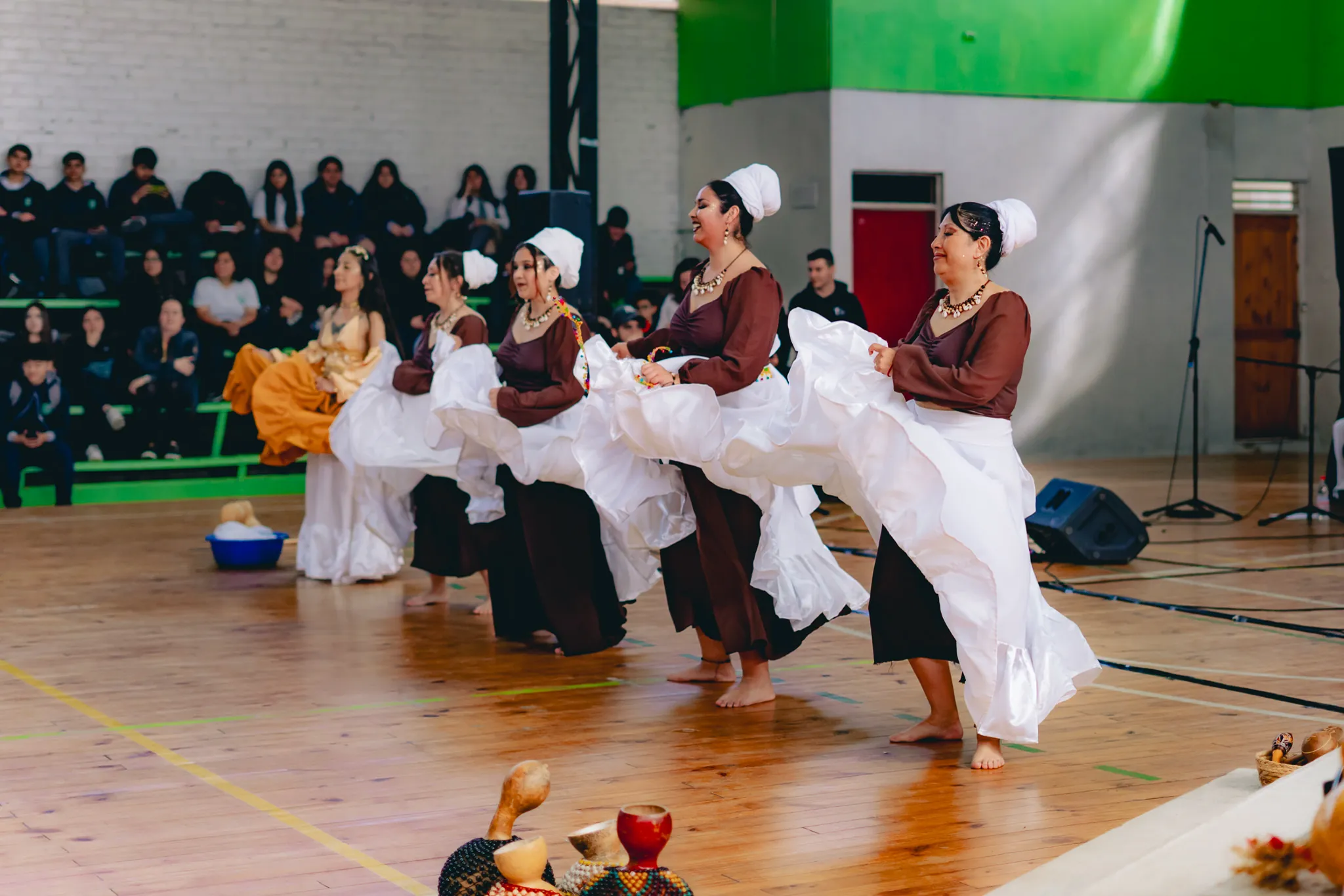 Tumbe Canela en Liceo Domingo Ortíz de Rozas - registro 4