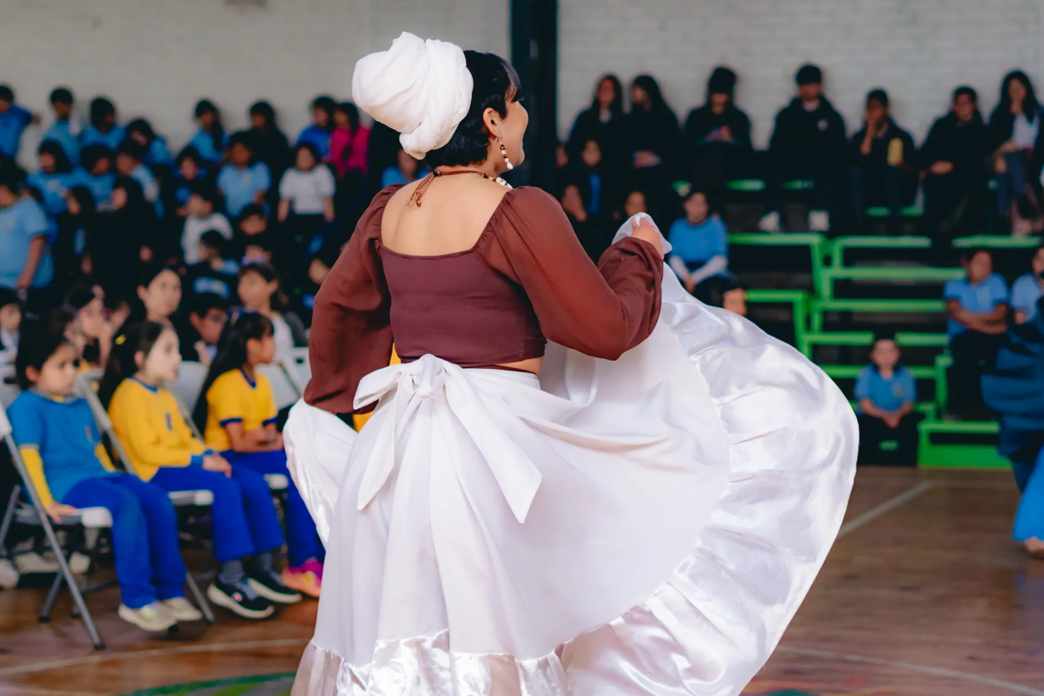 Tumbe Canela en Liceo Domingo Ortíz de Rozas - registro 31