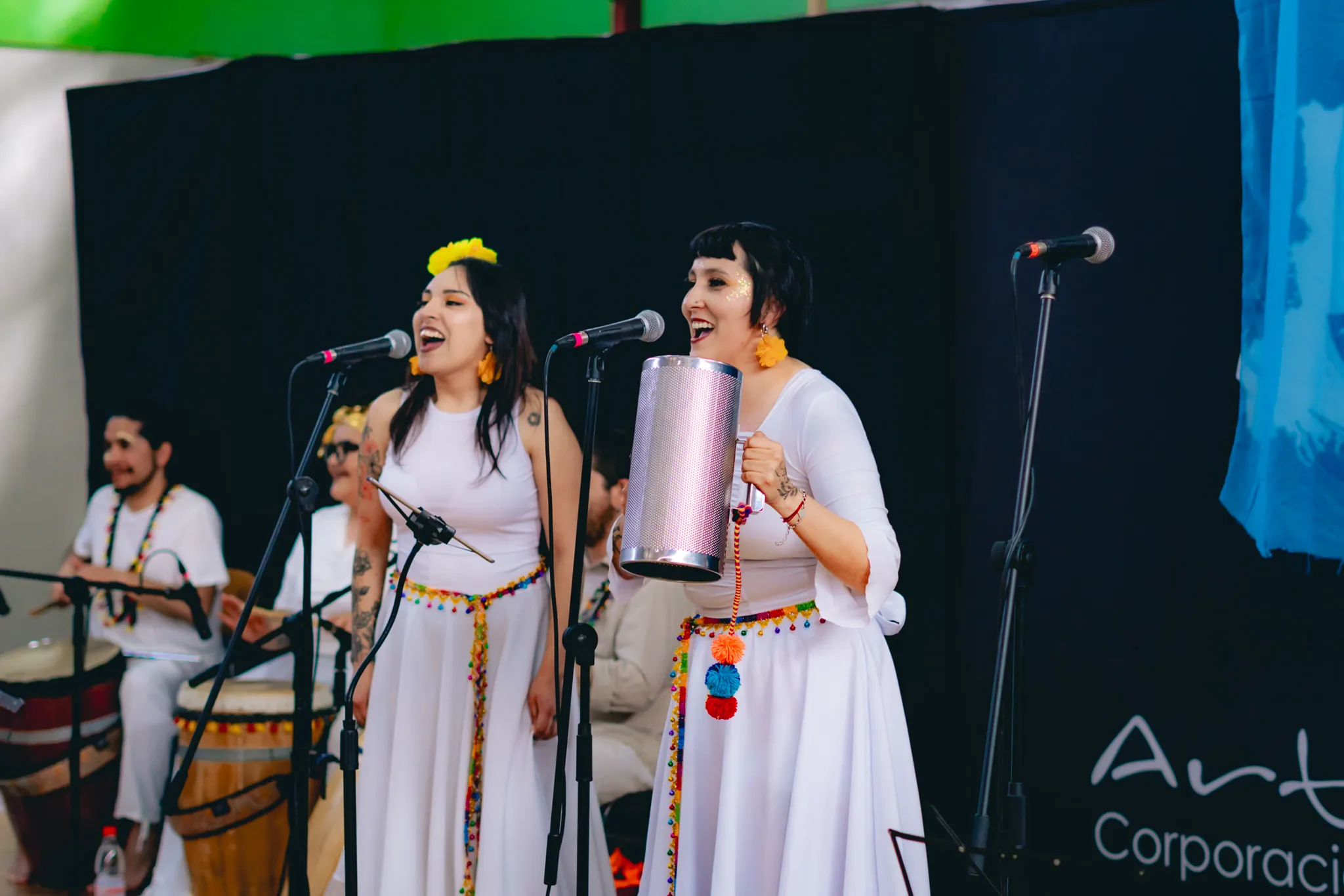 Tumbe Canela en Liceo Domingo Ortíz de Rozas - registro 37