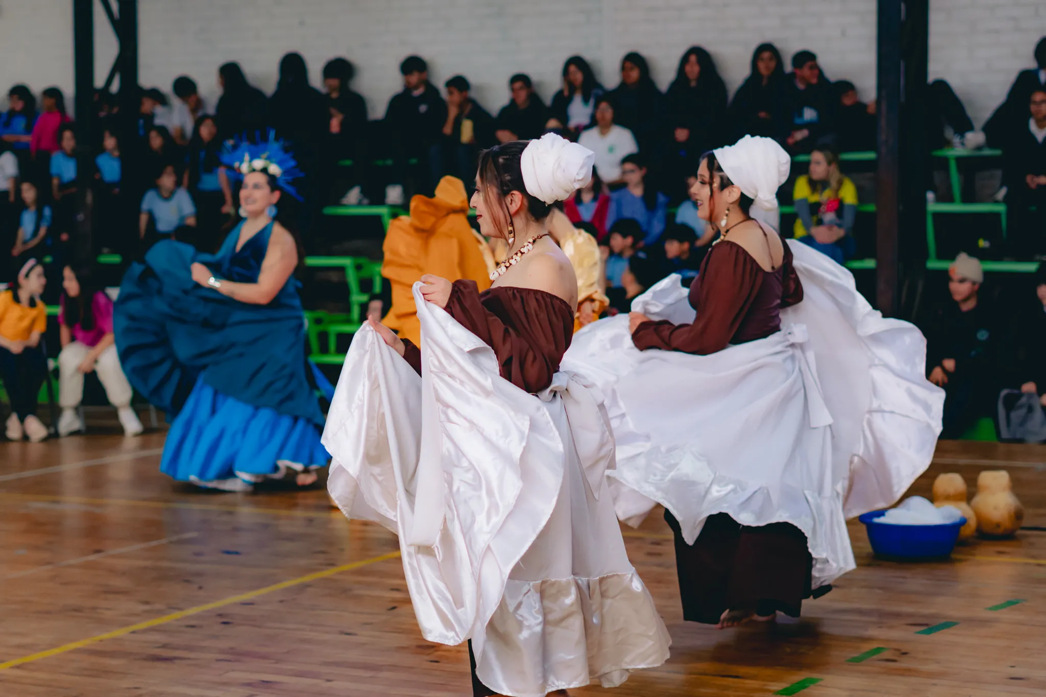 Tumbe Canela en Liceo Domingo Ortíz de Rozas - registro 20