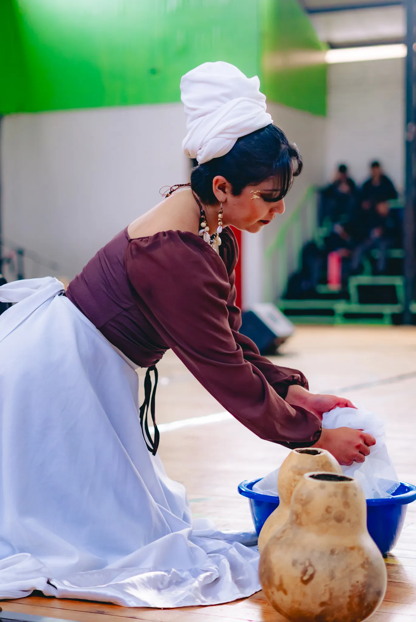 Tumbe Canela en Liceo Domingo Ortíz de Rozas - registro 21