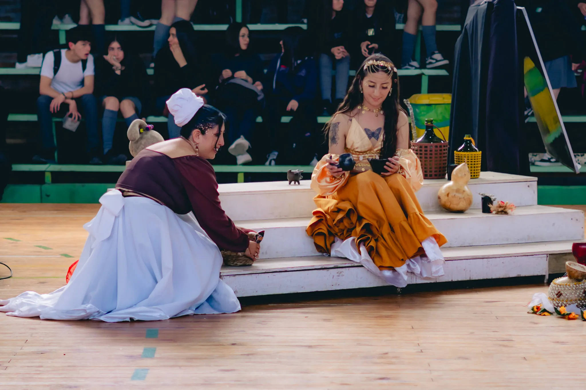 Tumbe Canela en Liceo Domingo Ortíz de Rozas - registro 25