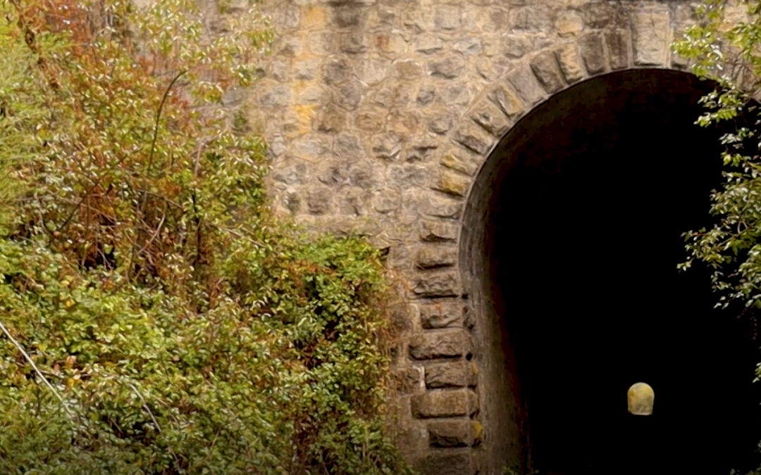 Somos Patrimonio: Un nuevo proyecto audiovisual que rescata el patrimonio ferroviaro de Coelemu